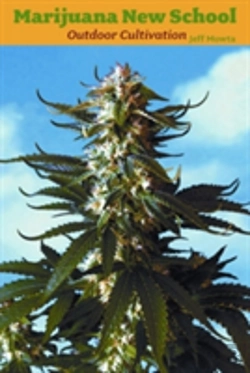 Bertrand.pt - Marijuana New School Outdoor Cultivation