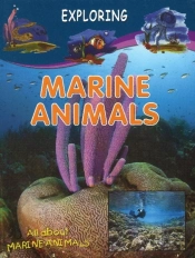 Marine Animals