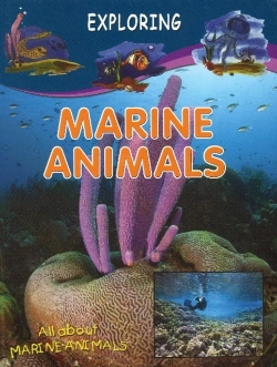 Bertrand.pt - Marine Animals
