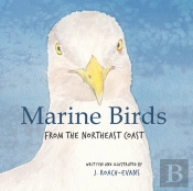 Marine Birds