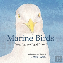 Bertrand.pt - Marine Birds