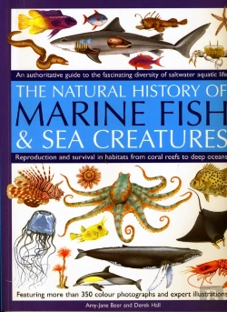 Bertrand.pt - Marine Fish