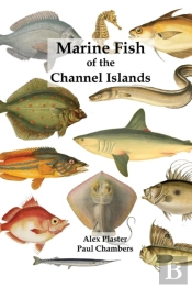 Marine Fish Of The Channel Islands