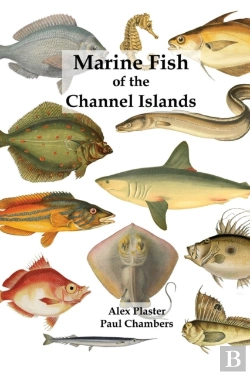 Bertrand.pt - Marine Fish Of The Channel Islands