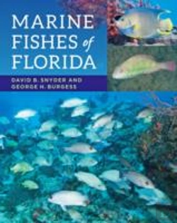 Bertrand.pt - Marine Fishes Of Florida