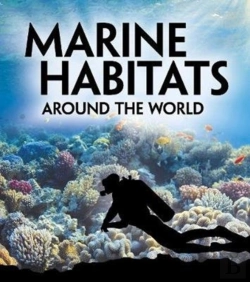 Bertrand.pt - Marine Habitats Around The World