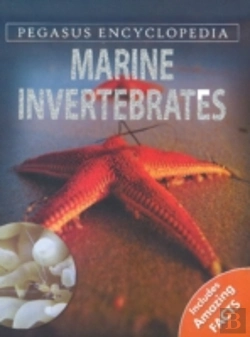 Bertrand.pt - Marine Invertebrates
