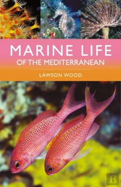 Bertrand.pt - Marine Life Of The Mediterranean