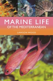 Marine Life Of The Mediterranean