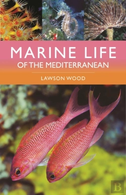 Bertrand.pt - Marine Life Of The Mediterranean