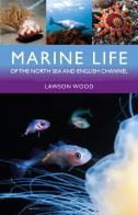 Marine Life Of The North Sea And English Channel