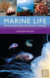 Marine Life Of The North Sea And English Channel