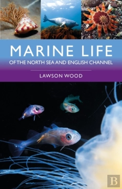 Bertrand.pt - Marine Life Of The North Sea And English Channel