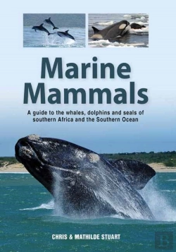 Bertrand.pt - Marine Mammals