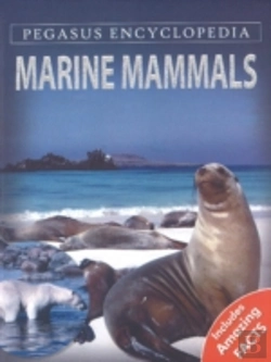 Bertrand.pt - Marine Mammals