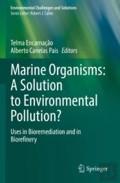 Marine Organisms: A Solution To Environmental Pollution?