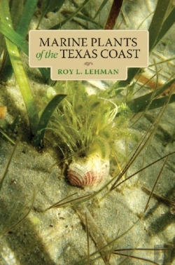 Bertrand.pt - Marine Plants Of The Texas Coast