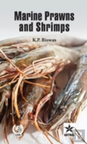 Marine Prawns And Shrimps