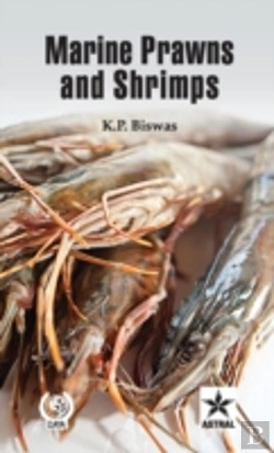 Bertrand.pt - Marine Prawns And Shrimps