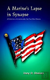 Marine'S Lapse In Synapse