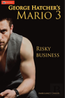 Mario 3 Risky Business
