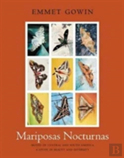 Bertrand.pt - Mariposas Nocturnas