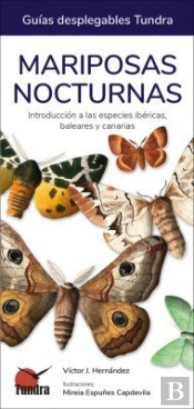 Mariposas Nocturnas