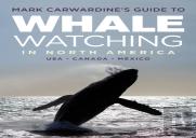Mark Carwardine'S Guide To Whale Watching In North America