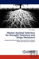 Marker Assisted Selection For Drought Tolerance And Striga Resistance
