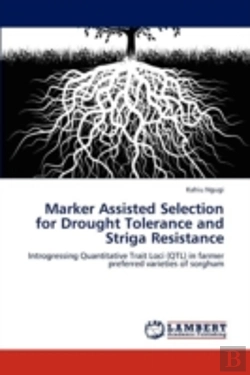 Bertrand.pt - Marker Assisted Selection For Drought Tolerance And Striga Resistance