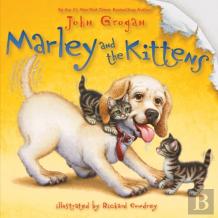 Marley And The Kittens