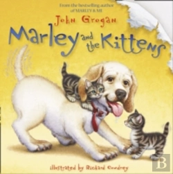 Bertrand.pt - Marley & The Kittens