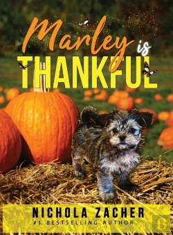 Bertrand.pt - Marley Is Thankful