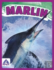 Marlin