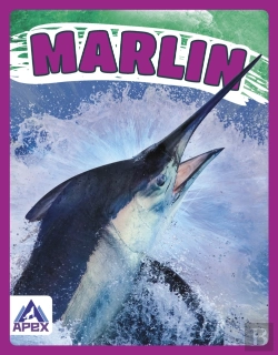 Bertrand.pt - Marlin