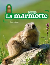 Marmotte (La)
