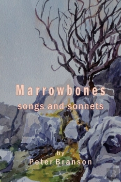 Bertrand.pt - Marrowbones