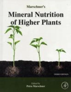 Bertrand.pt - Marschner'S Mineral Nutrition Of Higher Plants