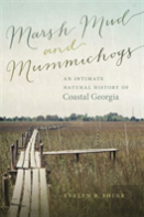Marsh Mud And Mummichogs