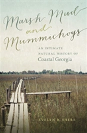 Marsh Mud And Mummichogs