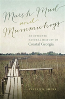 Bertrand.pt - Marsh Mud And Mummichogs