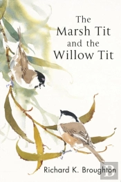 Marsh Tit And The Willow Tit