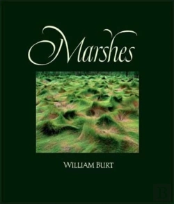 Bertrand.pt - Marshes