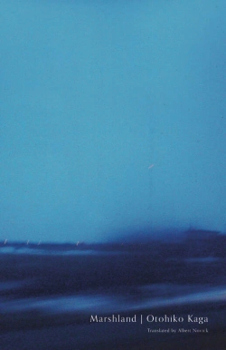 Bertrand.pt - Marshland