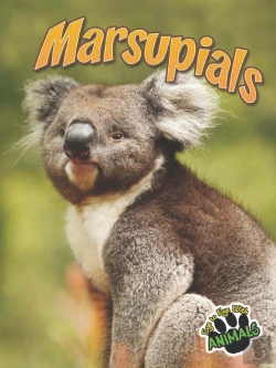 Bertrand.pt - Marsupials