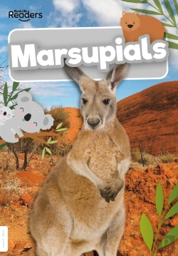 Bertrand.pt - Marsupials