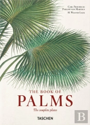 Martius - The Book of Palms