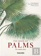 Martius - The Book of Palms