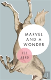 Marvel And A Wonder