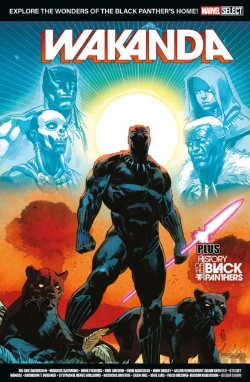 Bertrand.pt - Marvel Select - Wakanda